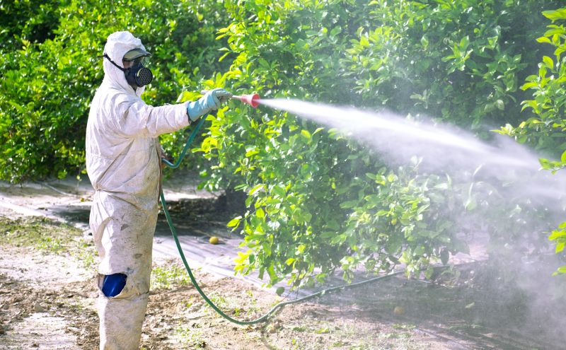 Pest Fumigation Service in San Jose, CA