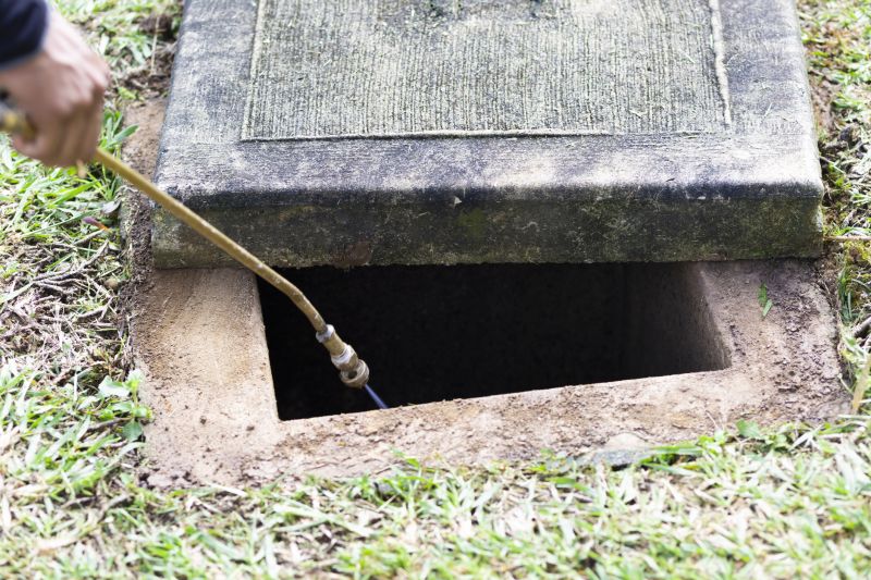 Rat Fumigation Service in Naperville, IL