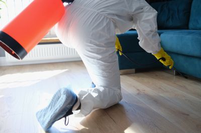 Roach Fumigation in San Antonio, TX