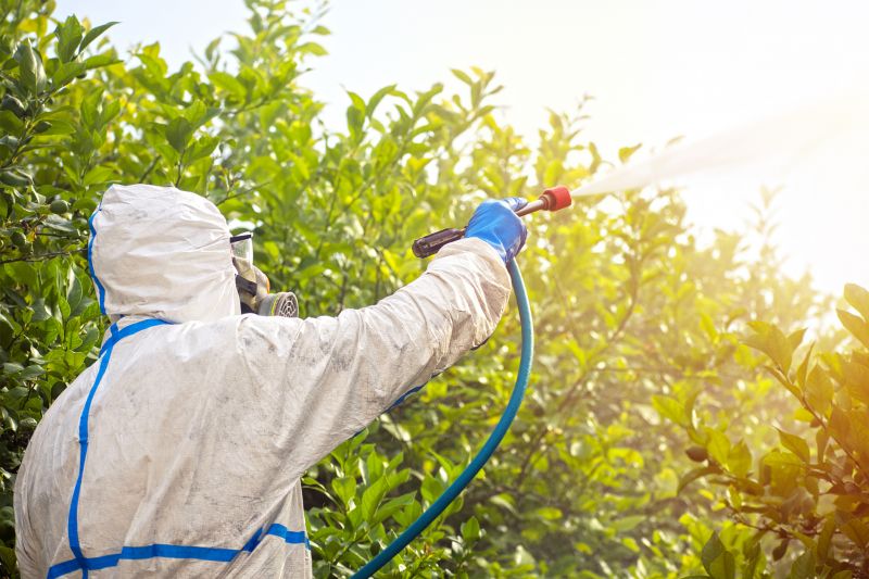 Commercial Fumigation in Wilmington, DE