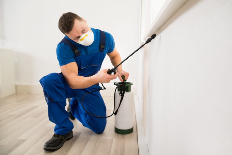 Mites Extermination in Arlington, TX