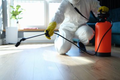 Mouse Spider Extermination in Mckinney, TX