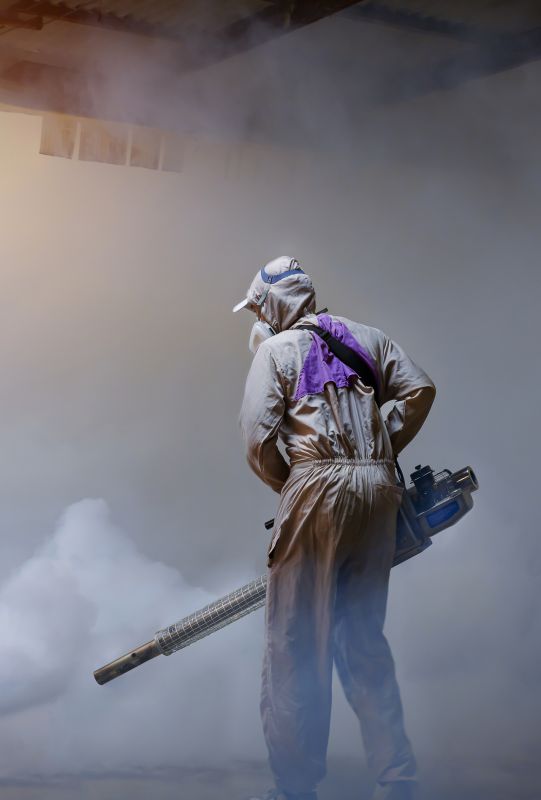 Spider Fumigation Service in Columbus, OH