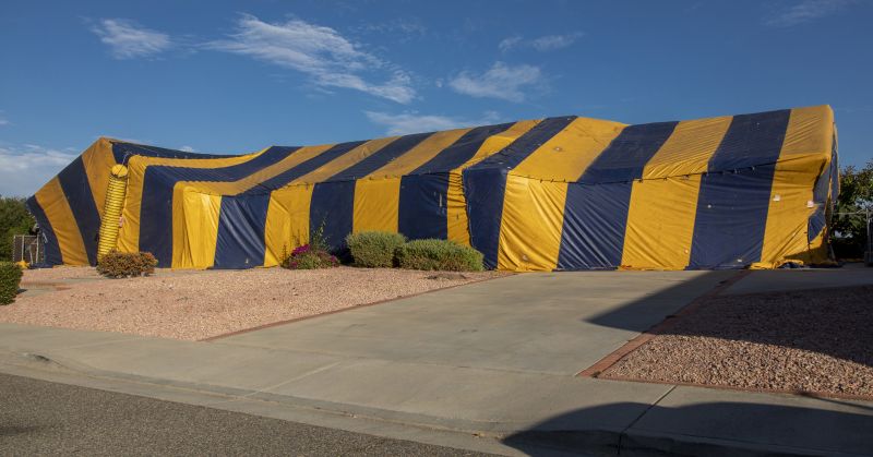 Tent Fumigation in Fredericksburg, VA