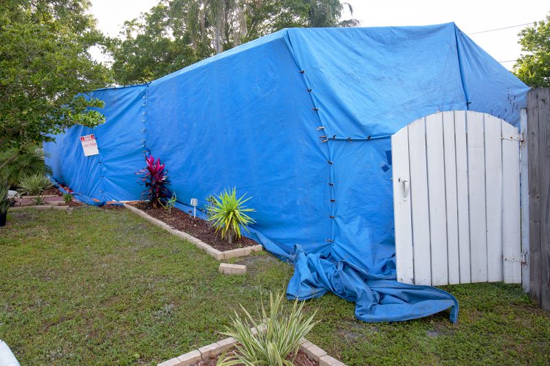 Termite Tenting in Madison, WI
